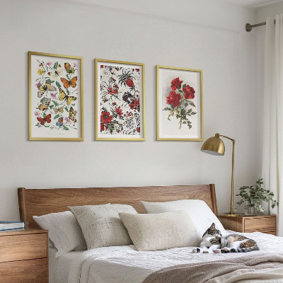 Composizione di quadri Farfalle fiori rose rosse