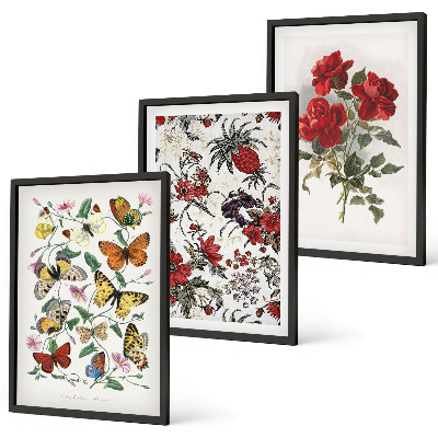 Composizione di quadri Farfalle fiori rose rosse