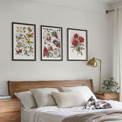 Composizione di quadri Farfalle fiori rose rosse
