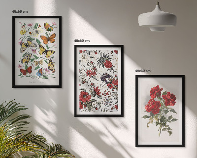 Composizione di quadri Farfalle fiori rose rosse