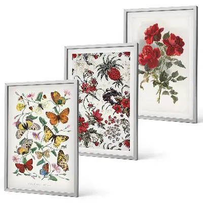 Composizione di quadri con farfalle fiori e rose rosse