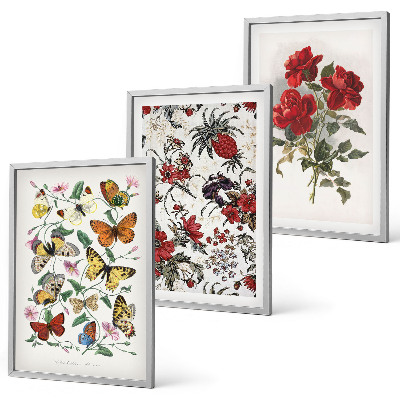 Composizione di quadri Farfalle fiori rose rosse