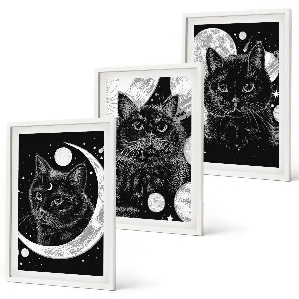 Set di 3 quadri con gatti neri, luna e spazio