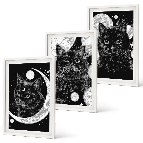 Set di 3 quadri Gatti neri luna spazio