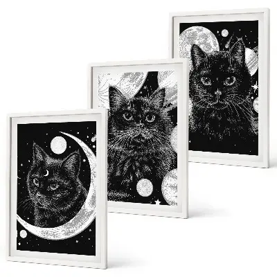 Set di 3 quadri con gatti neri, luna e spazio