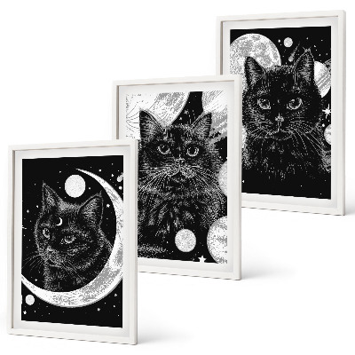 Set di 3 quadri Gatti neri luna spazio