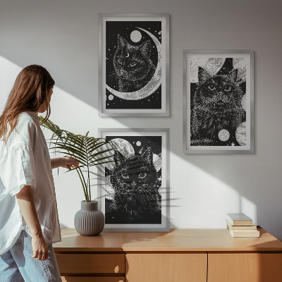 Set di 3 quadri Gatti neri luna spazio