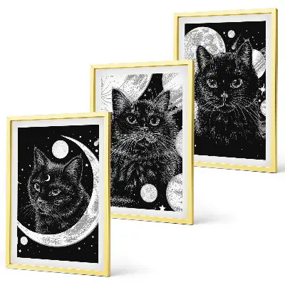 Set di 3 quadri con gatti neri, luna e spazio