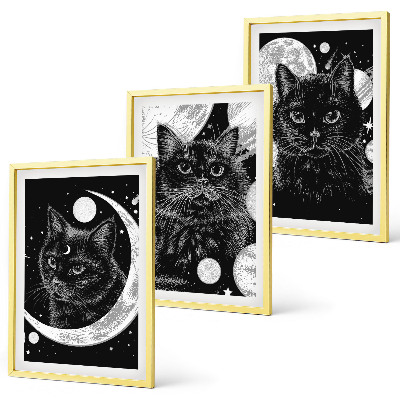 Set di 3 quadri Gatti neri luna spazio