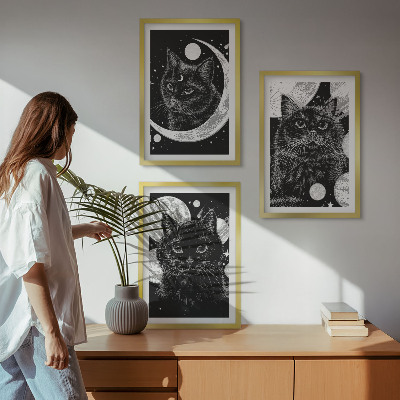 Set di 3 quadri Gatti neri luna spazio