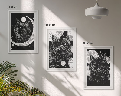 Set di 3 quadri Gatti neri luna spazio