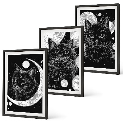 Set di 3 quadri Gatti neri luna spazio