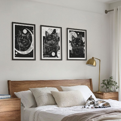 Set di 3 quadri Gatti neri luna spazio