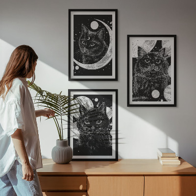 Set di 3 quadri Gatti neri luna spazio