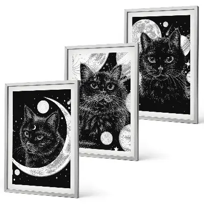 Set di 3 quadri con gatti neri, luna e spazio