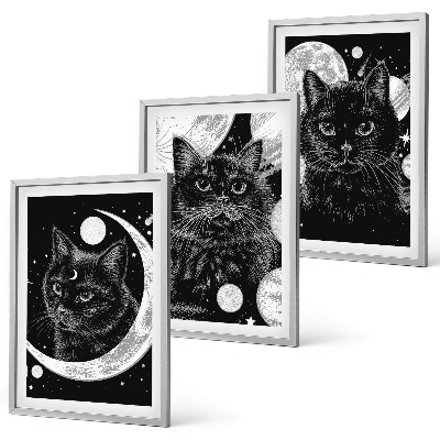 Set di 3 quadri Gatti neri luna spazio
