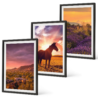 Set di 3 quadri Paesaggio montano con un cavallo