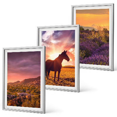 Set di 3 quadri Paesaggio montano con un cavallo