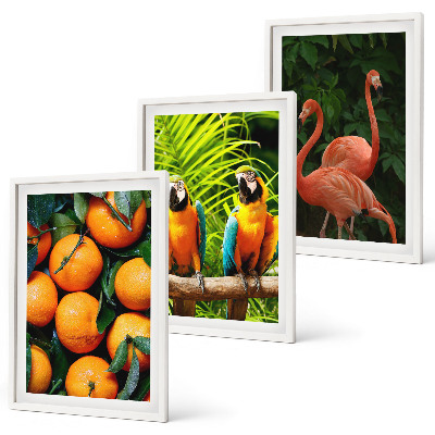 Set di quadri incorniciati Note fruttate ai tropici