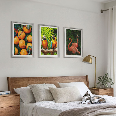 Set di quadri incorniciati Note fruttate ai tropici
