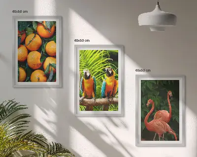 Set di quadri incorniciati motivo con note fruttate ai tropici