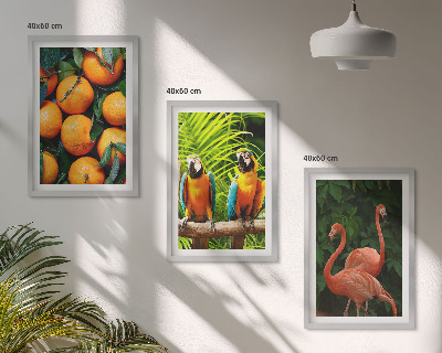 Set di quadri incorniciati Note fruttate ai tropici