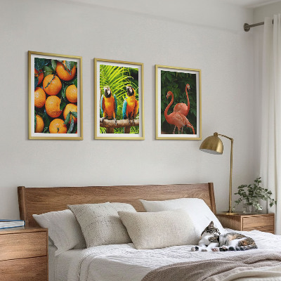 Set di quadri incorniciati Note fruttate ai tropici