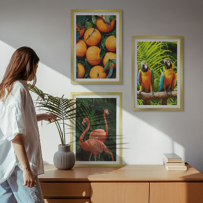 Set di quadri incorniciati Note fruttate ai tropici