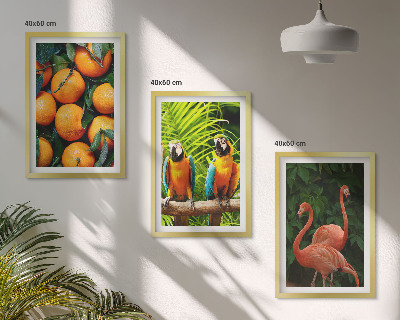 Set di quadri incorniciati Note fruttate ai tropici