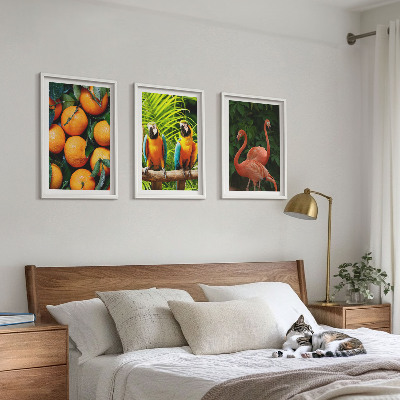 Set di quadri incorniciati Note fruttate ai tropici