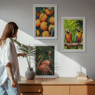 Set di quadri incorniciati Note fruttate ai tropici