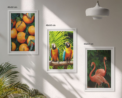 Set di quadri incorniciati Note fruttate ai tropici