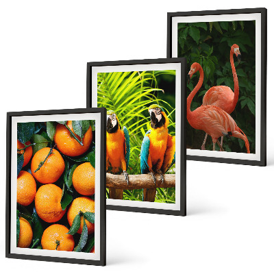 Set di quadri incorniciati Note fruttate ai tropici