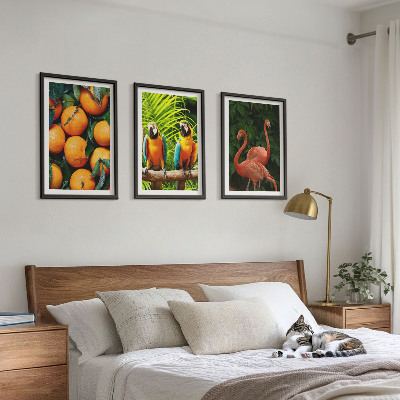 Set di quadri incorniciati Note fruttate ai tropici