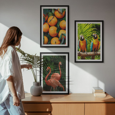 Set di quadri incorniciati Note fruttate ai tropici