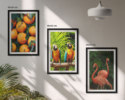 Set di quadri incorniciati Note fruttate ai tropici
