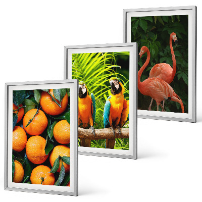 Set di quadri incorniciati Note fruttate ai tropici