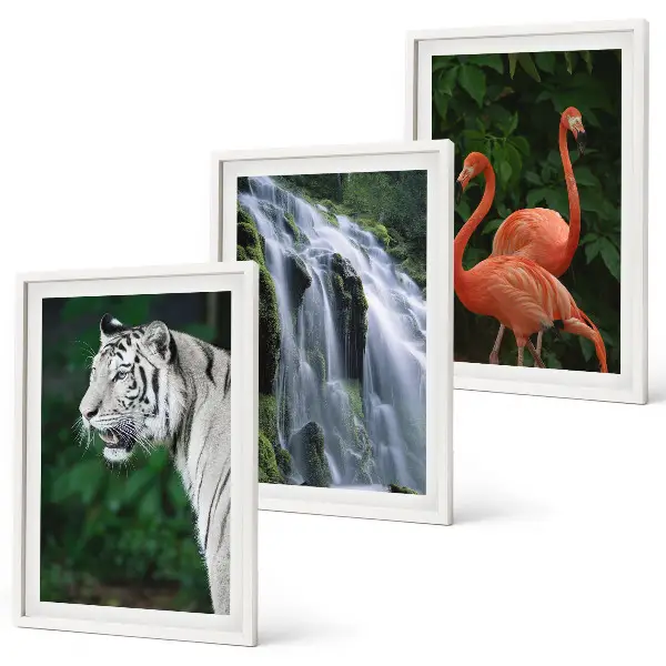 Set di 3 quadri con stampa di cascata della tigre e fenicotteri tra la natura