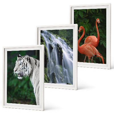 Set di 3 quadri cascata della tigre fenicotteri natura
