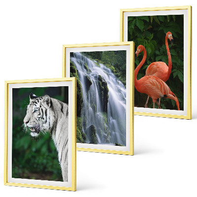 Set di 3 quadri cascata della tigre fenicotteri natura