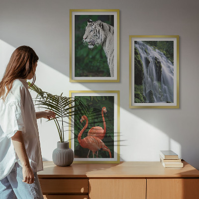 Set di 3 quadri cascata della tigre fenicotteri natura