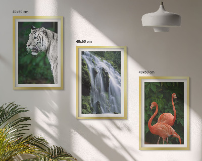 Set di 3 quadri cascata della tigre fenicotteri natura