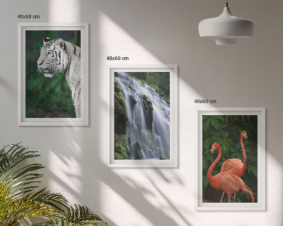 Set di 3 quadri cascata della tigre fenicotteri natura