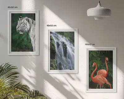 Set di 3 quadri con stampa di cascata della tigre e fenicotteri tra la natura