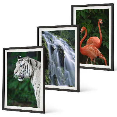 Set di 3 quadri cascata della tigre fenicotteri natura