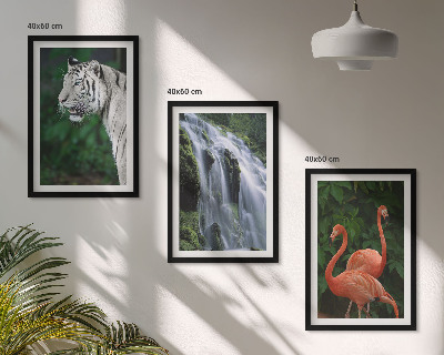 Set di 3 quadri cascata della tigre fenicotteri natura