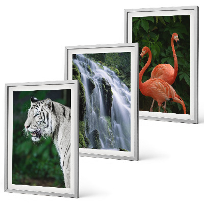 Set di 3 quadri cascata della tigre fenicotteri natura