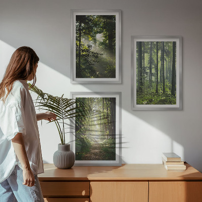 Set di quadri incorniciati Foreste verdi con raggi di luce