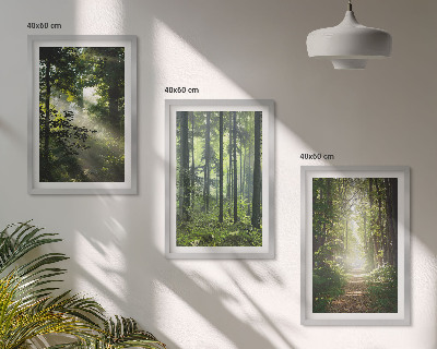 Set di quadri incorniciati Foreste verdi con raggi di luce