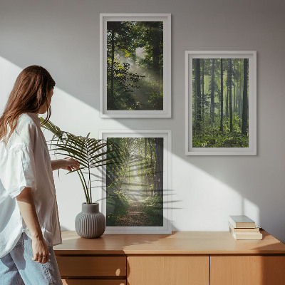 Set di quadri incorniciati Foreste verdi con raggi di luce
